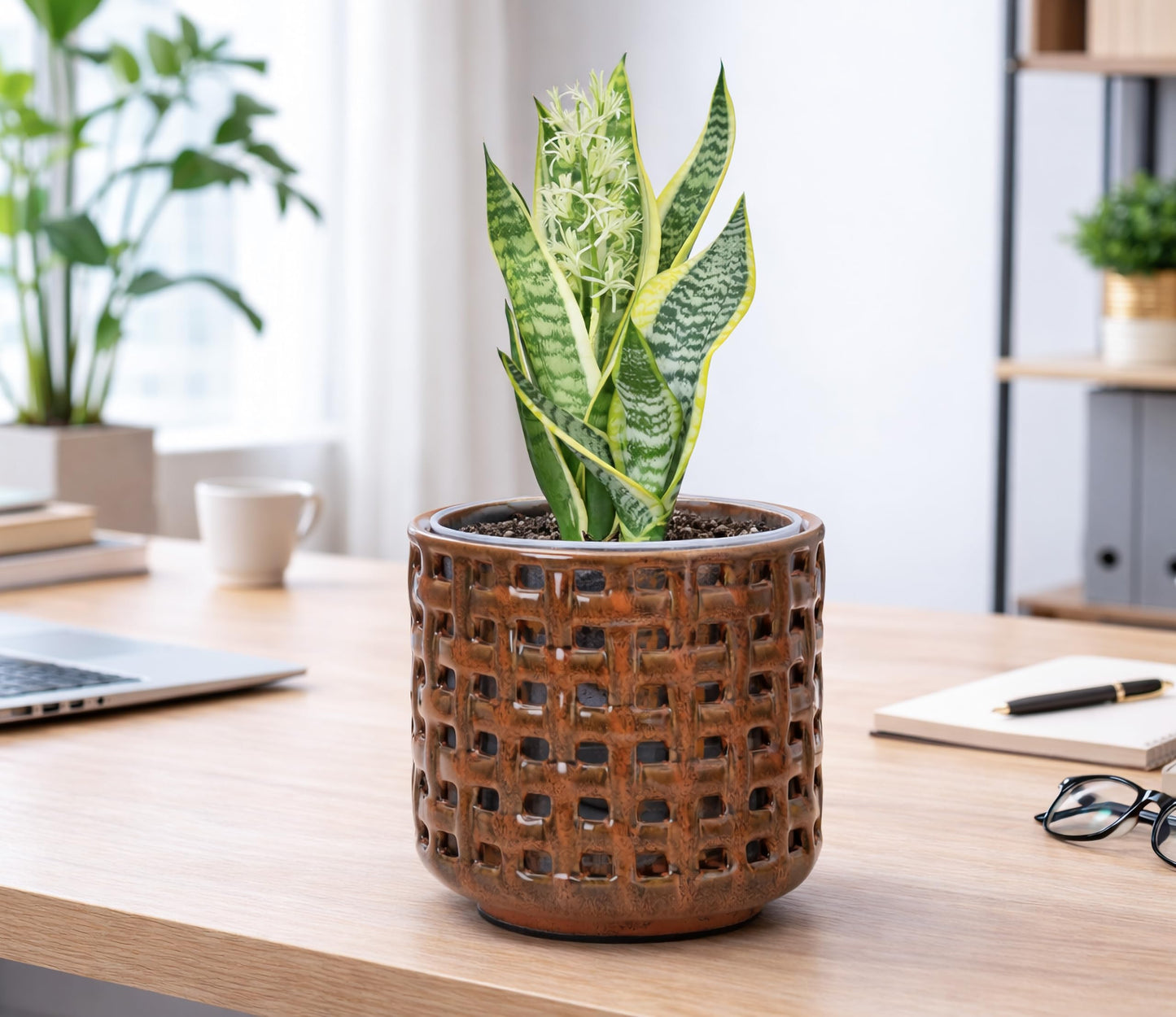 D'vine Dev 6.7 Inch Ceramic Orchid Planter with Lattice Cutout Design, Glazed Cachepot with Clear Nursery Pot & Detachable Saucer for Orchids and Indoor Plants, Pumpkin, 28-A-Y-5
