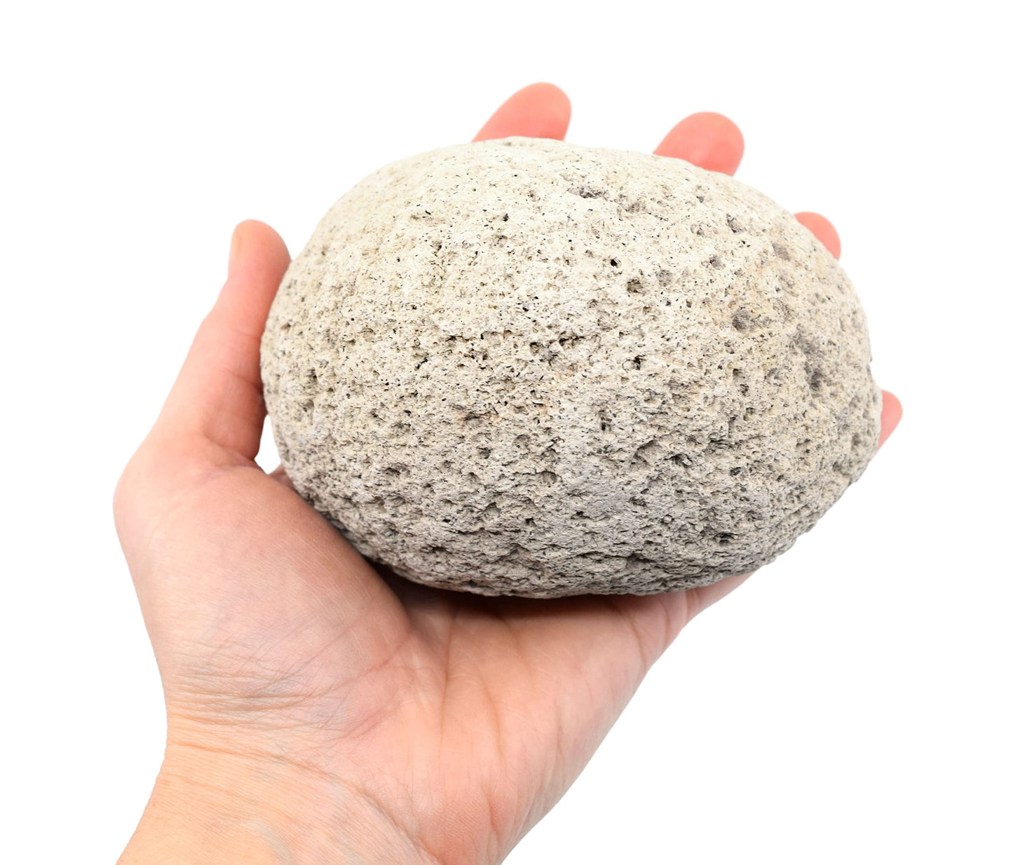 EISCO Raw Pumice, Igneous Rock Specimen - Hand Sample - Approx. 3" - Geologist Selected & Hand Processed - Great for Science Classrooms