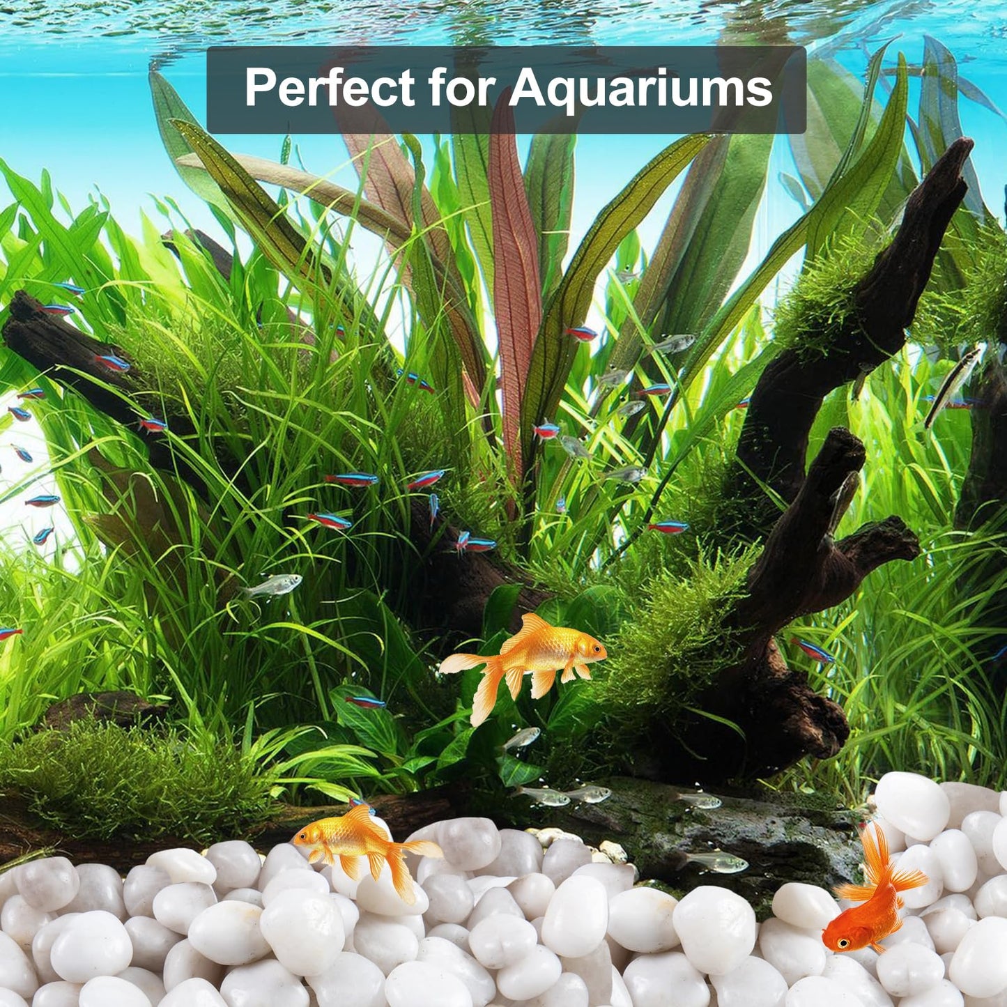 Lechloris 20Ib White River Rocks for Landscaping- High Polished Pebbles for Plants-Garden Decorative Stones-1-2 Large Plant Rocks,Ideal for Aquarium, Home Decor
