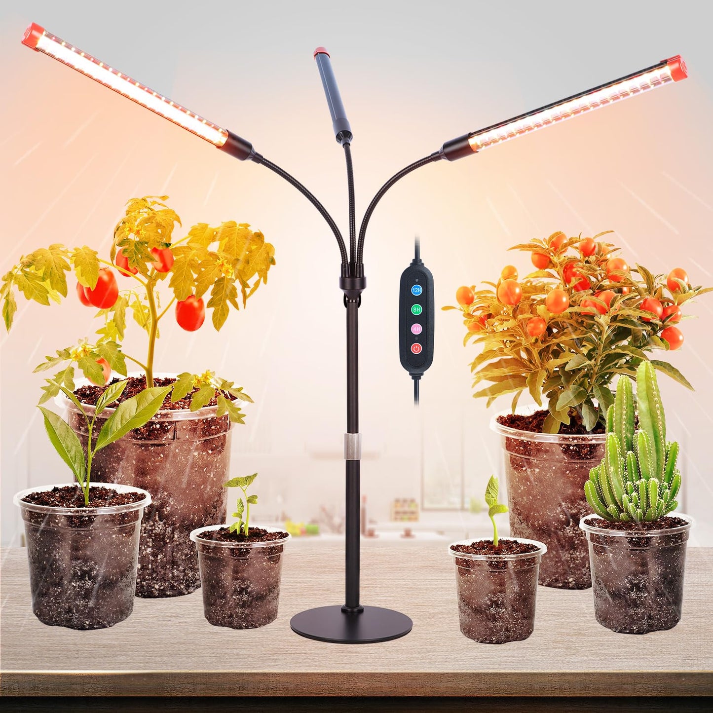 FRGROW 3Head Tabletop Grow Lights for Indoor Plants, Seed Starting, Vegetables, Bonsai, Bright Desk Plant Growing Lamps, 4/8/12/16/20H Timer, 27 Watt Power Draw, NO Need Adapter, 360° Gooseneck