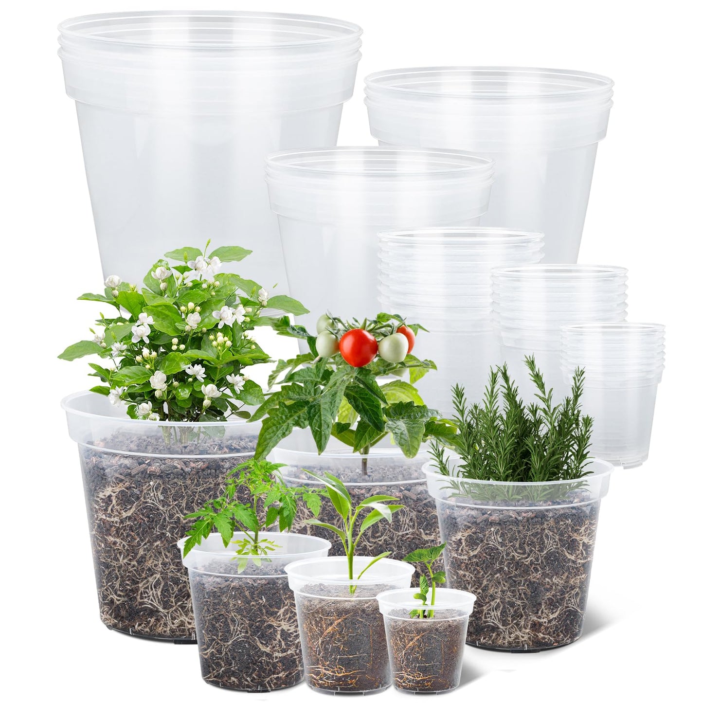 GREANER 6 Inch Wall Plant Holder, 4/5/6/7/8/9 Inch Reinforced Clear Nursery Pots, 2 Packs Heavy Duty Flower Pot Holder Ring and 13 Packs Durable Seed Starting Pot for Balcony, Home, Garden, Yard