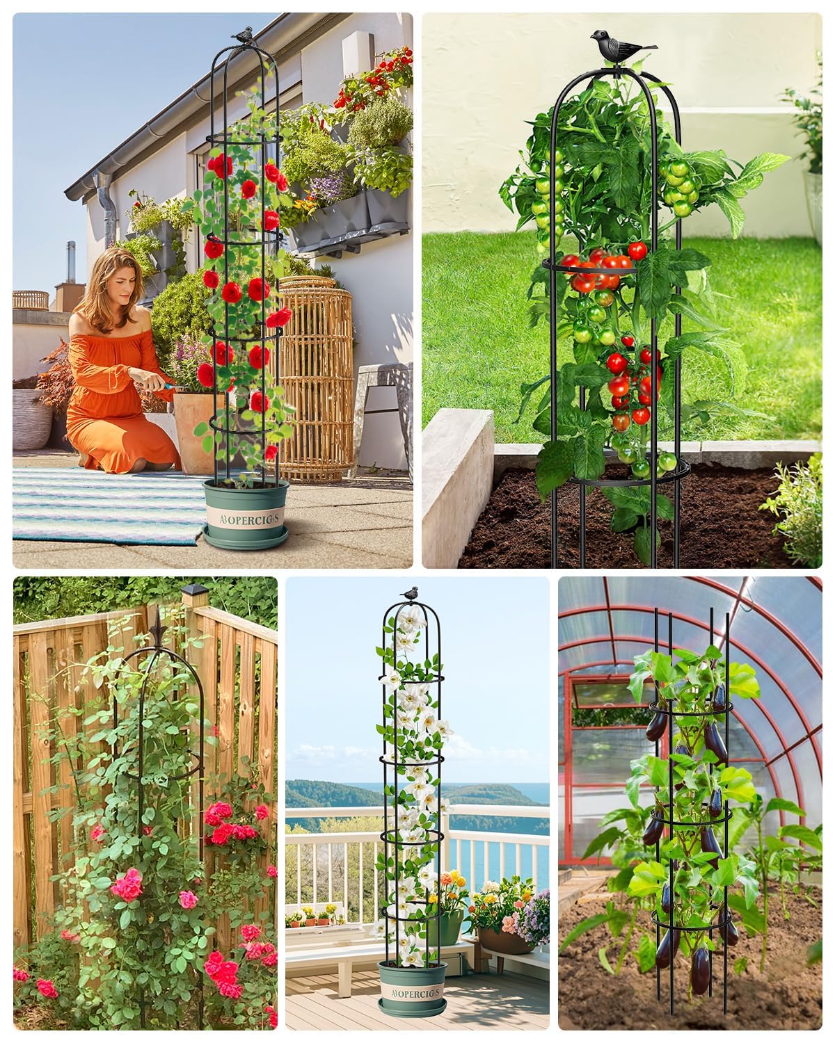 6.2ft Garden Obelisk Trellis for Climbing Plants Rustproof Metal Pipe with Heavy Duty Plastic Coated Garden Outdoor Indoor Potted Plant Support for Clematis Vine Jasmine Support