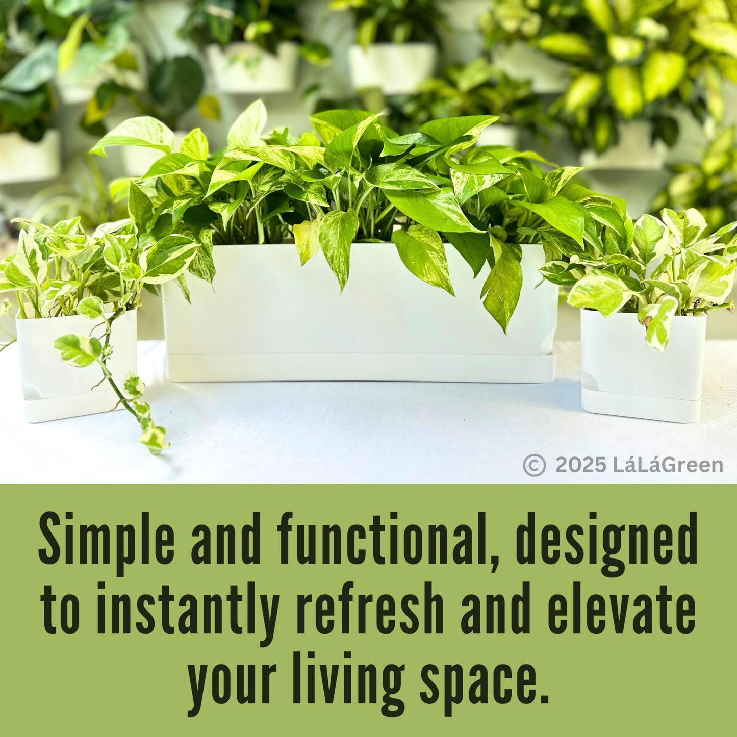 LaLaGreen Planters for Indoor Plants (7 Pack) White Rectangular Self-Watering Window Boxes Planter, Plastic Flower Box Pots Herb Small Long Windowsill Plant with Drainage Patio Garden Home Decor Porch