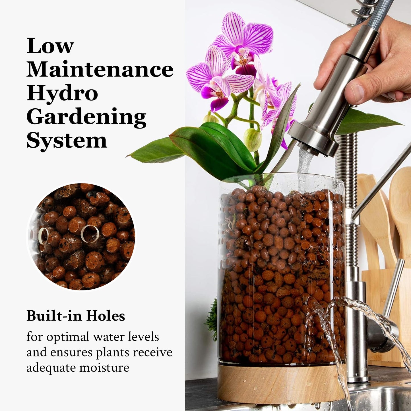 Pot & Pebble - C1 Glass Planter with Wooden Base - Indoor Glass Planter with Water Level Control Holes -Grow Plants in LECA Clay Pebbles/Similar Media - Semi Hydroponic Planter - Plant Cutting Holder