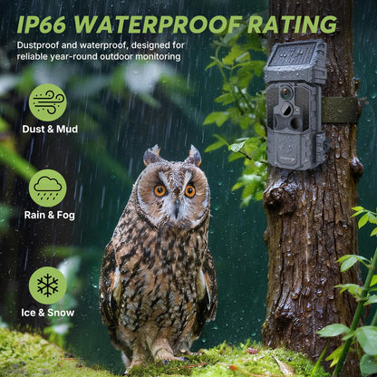 WOSPORTS Solar WiFi Trail Camera with 7800mAh Built-in Battery, 48MP Game Camera for 24/7 Wildlife Security, 0.1s Trigger, IP66 Waterproof Wildlife Cameras with 8 AA Batteries & 64GB SD Card