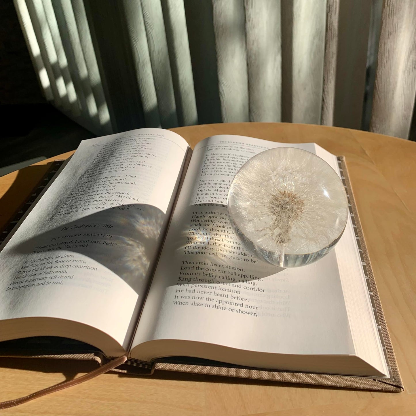 NouvoCrescent Real Dandelion Paperweight - Home Decor Crystal Resin Ball 3.14in (80mm) - Clear Resin Dandelion Flower Globe for Special Days - Sphere Figurine Office Paperweight w/Flat Bottom