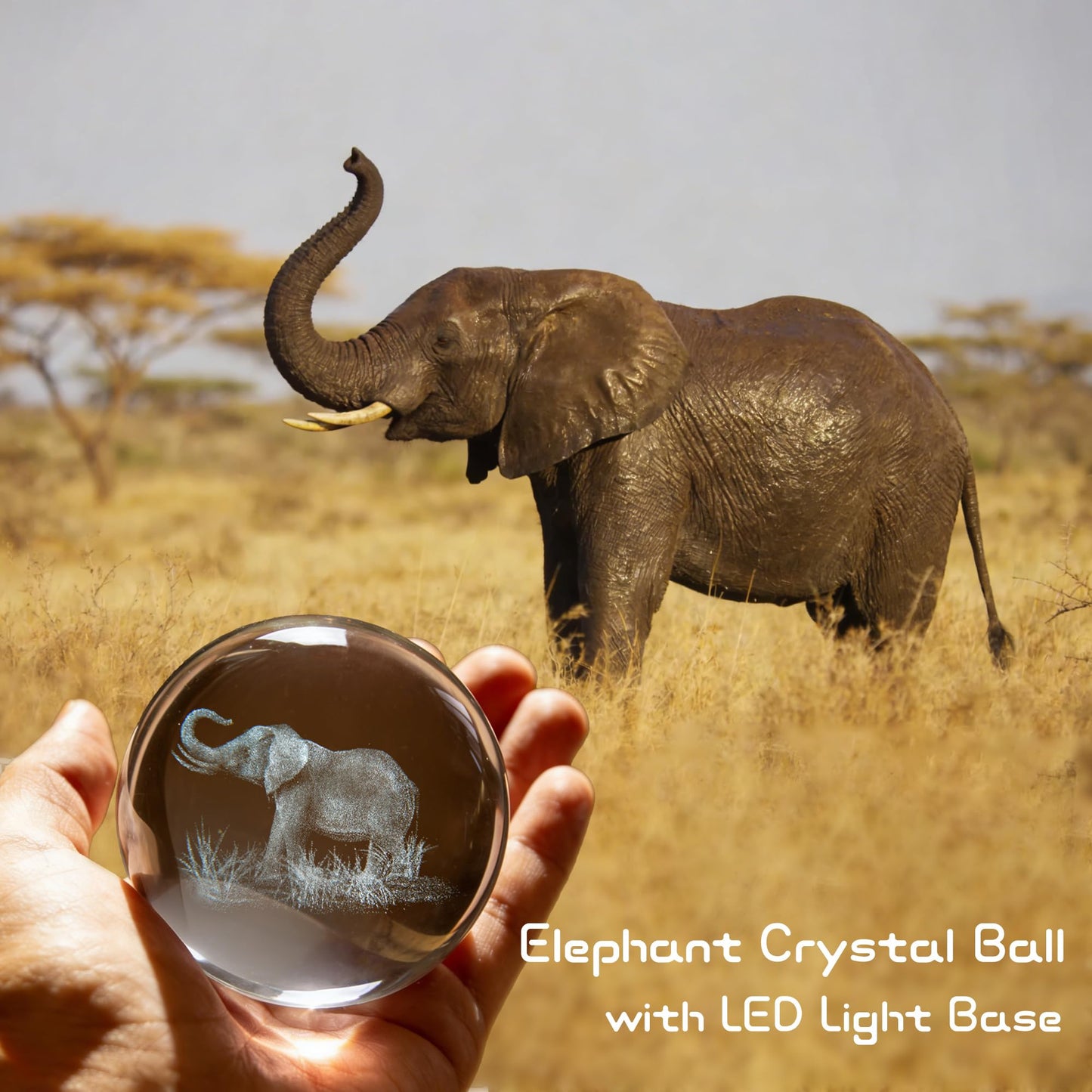 QIANCHANG 3D Elephant Crystal Ball with LED Stand, 80mm Glass Sphere Night Light Lamp, Crystal Animal Figurines Collectibles, Elephant Lover Gifts for Men & Women