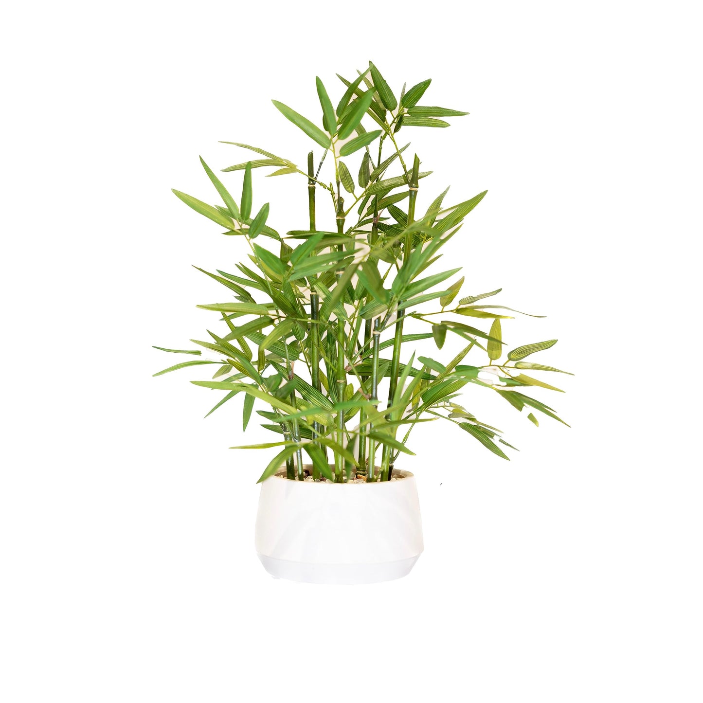 365 Blooming Decor 18 inch Tall White Potted Artificial Bamboo Plant- Luxury Artificial Bamboo Tree in White Pot for Home, Office, Kitchen, Counter Top, Indoor Decor, Money Tree, Lucky Tree.