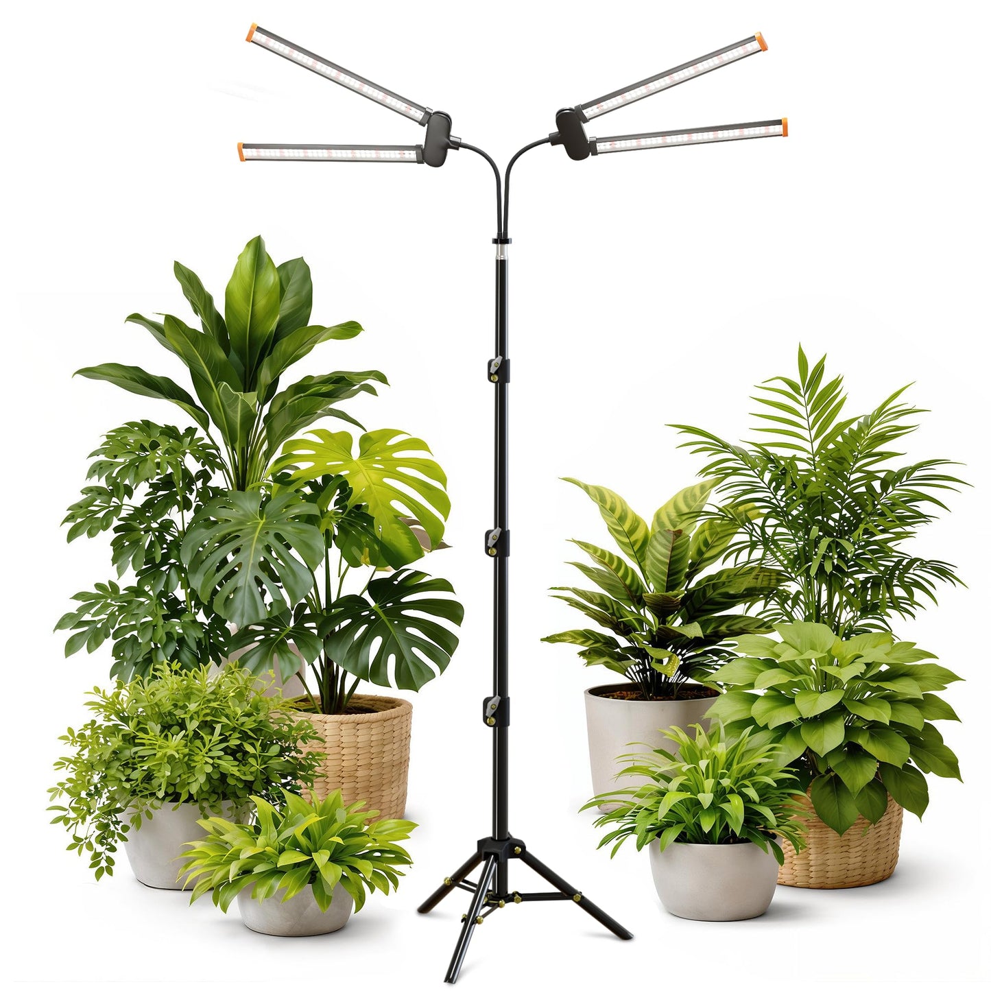 Quehoomii 61'' Grow Light Floor Lamp,6000K White Full Spectrum Growing Light for Indoor Tall Large Plants,Half or Full Brightness Dimmable & Auto Timer,Adjustable Height 17-61",