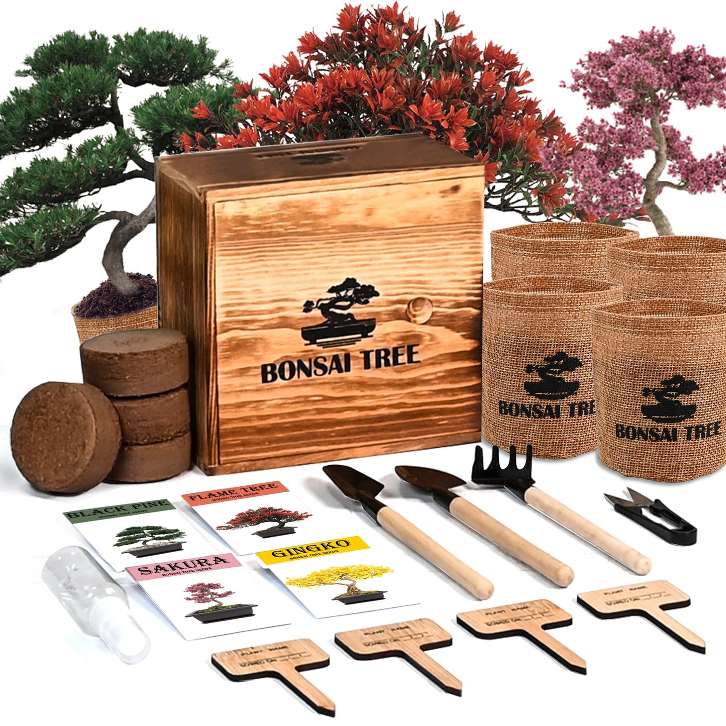Sproutix Bonsai Garden Starter Kit, 4 Seeds Growing into Sakura, Ginkgo, Black Pine, Red Flame, Including Complete Gardening Tools & A Planter Box with Cover for Men Women Beginners