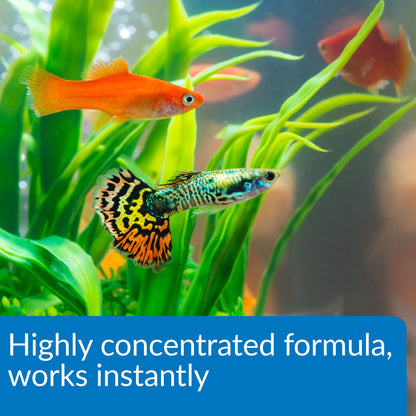 API Aqua Essential Aquarium Water Conditioner 473 ml Bottle