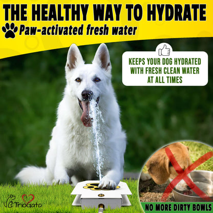 Genovation Outdoor Dog Pet Water Sprinkler Easy Activated Dog Water Fountain Toy