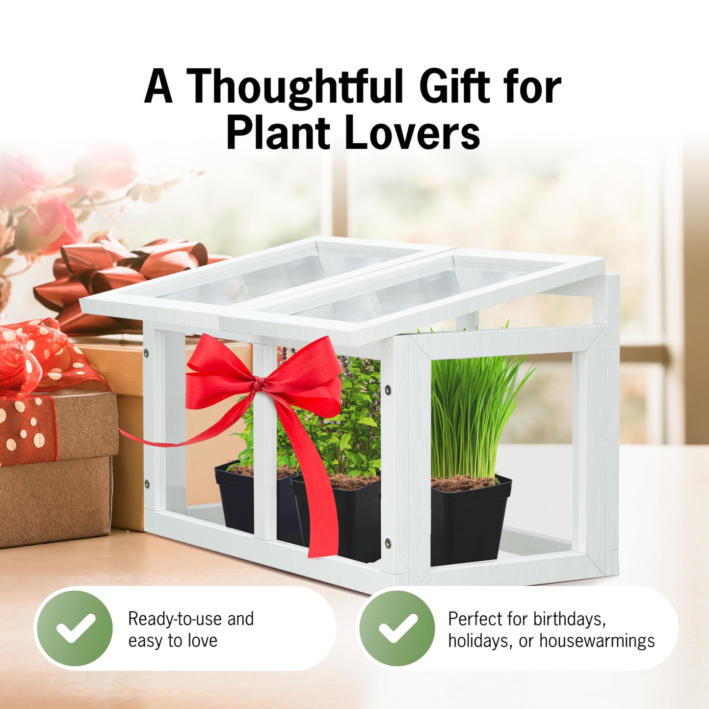 Mini Tabletop Greenhouse 12"x8" – Compact Indoor Plant House with Clear Acrylic Panels & Wood Frame with 4" Pots for Herbs, Seedlings, Cuttings & Propagation - Cat Safe