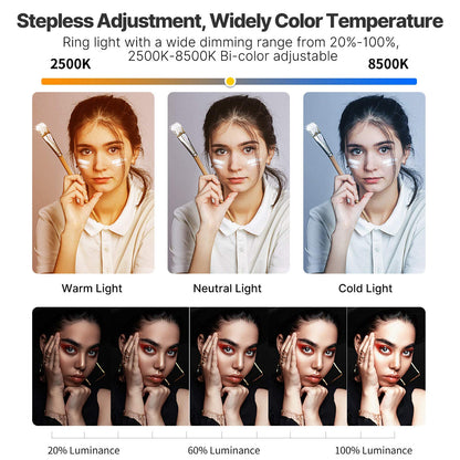 Smartphone Video Rig PICTRON U200 Handheld LED Ring Light Selfie Light Phone Video Stabilizer for Camera, Smartphone, Action Camera, YouTube, Setup, Filmmaking, Makeup, Vlogging