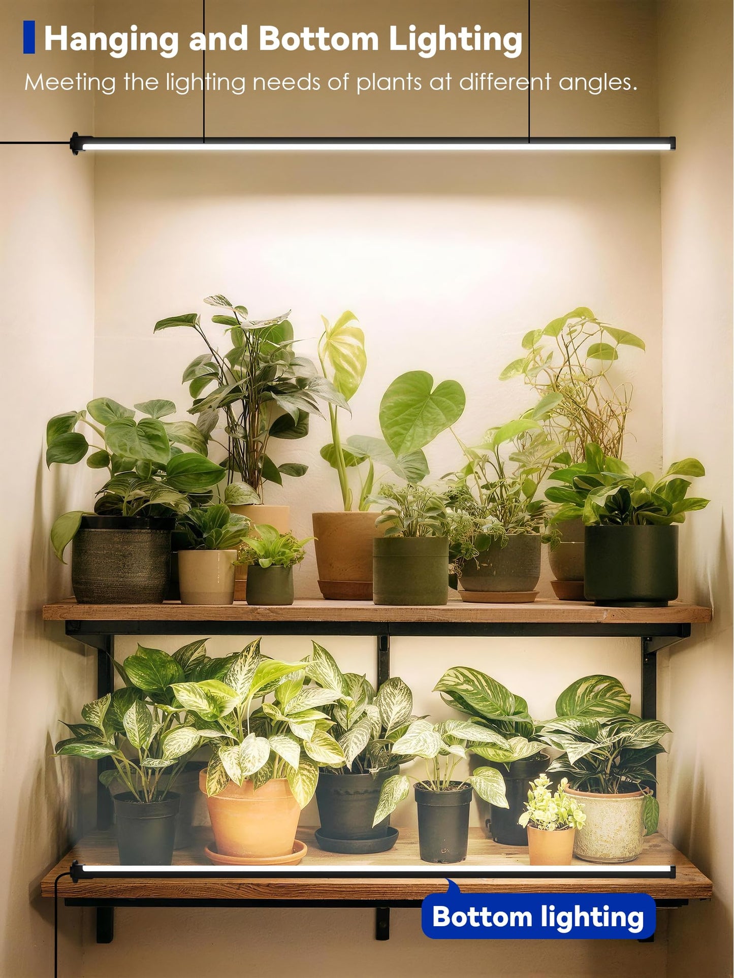 Grow Light with Auto-Timer, Hanging and Standing Grow Lights for Indoor Plants,3 Light Modes, Detachable Full Spectrum Plant Lights for Wide Area Coverage in Indoor Plants (60 in)