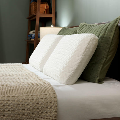 TEMPUR-Pedic TEMPUR-Cloud Pillow, Standard-2-Pack, Standard, White 2 Count