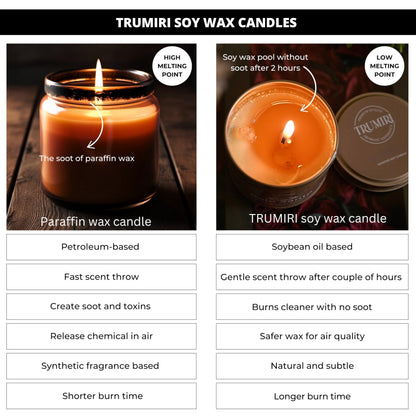 Sage Candle for Cleansing House Negative Energy Smudge Kit - 5oz Soy Wax Natural Clean Organic Non Toxic - Aromatherapy Spiritual Meditation Gifts - Long Lasting Highly Scented Candel with Crystals