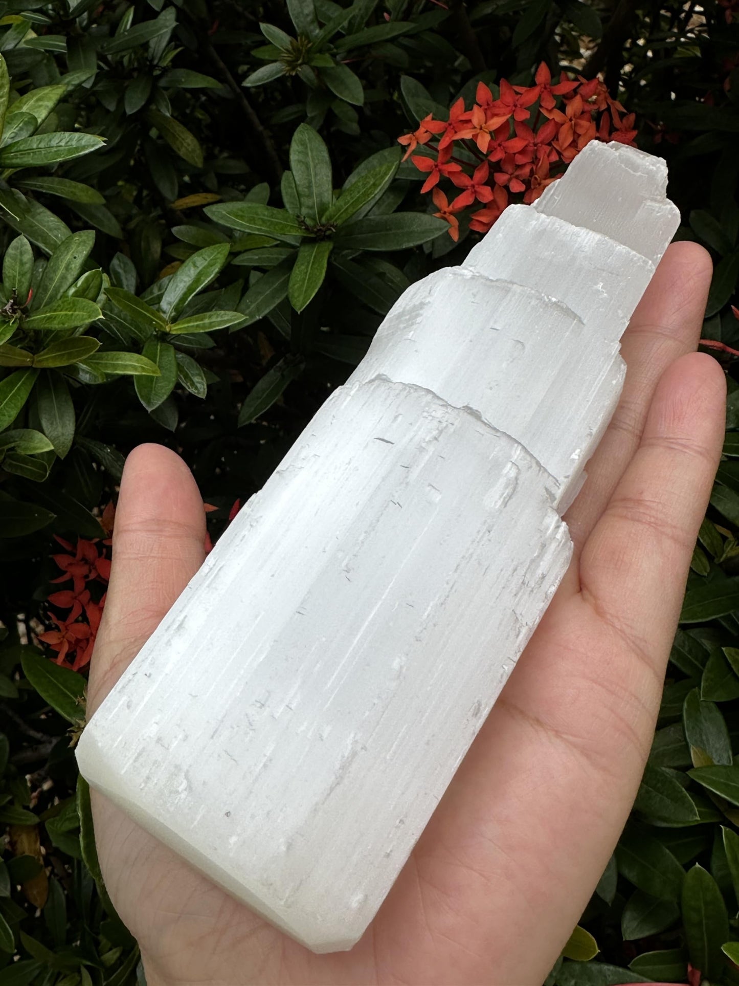 GAF TREASURES Large Selenite Skyscraper Tower 6" Tall, Selenite Skyscraper, Selenite Point, Gypsum Crystal, Healing Crystals (6")
