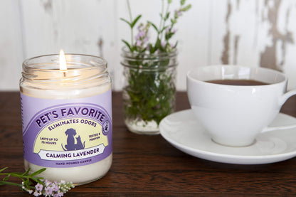 Pet's Favorite Calming Lavender Pet Odor Candle, Clean Burning, Long Lasting Scented Candles with a Natural Fiber Wick and 70 Hour Burn Time, Pack of 1