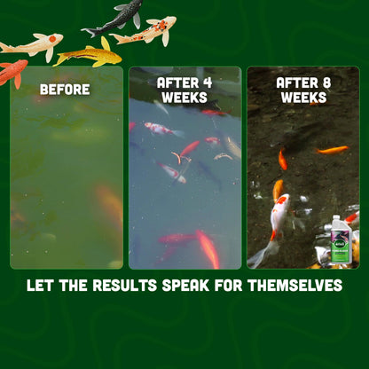 Envii Pond Klear - Natural Green Pond Water Treatment, Clears Green and Murky Water for Crystal Clear Healthy Water, Safe for all Fish and Wildlife -1L Treats 40,000 Litres
