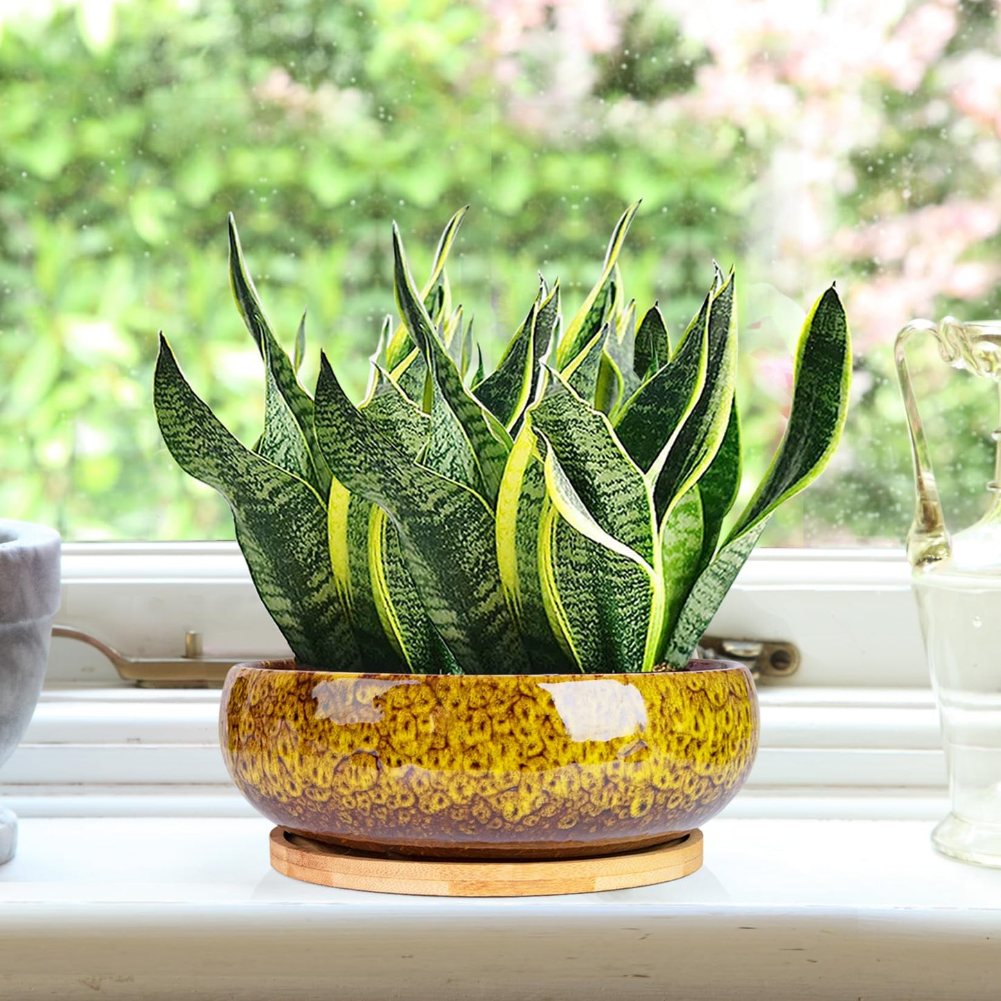 ARTKETTY Succulent Pots - 7.5 Inch Large Plant Pot with Bamboo Tray, Shallow Bonsai Pots with Drainage, Ceramic Planter for Indoor Plants, Cactus, Home Office Desk Decor