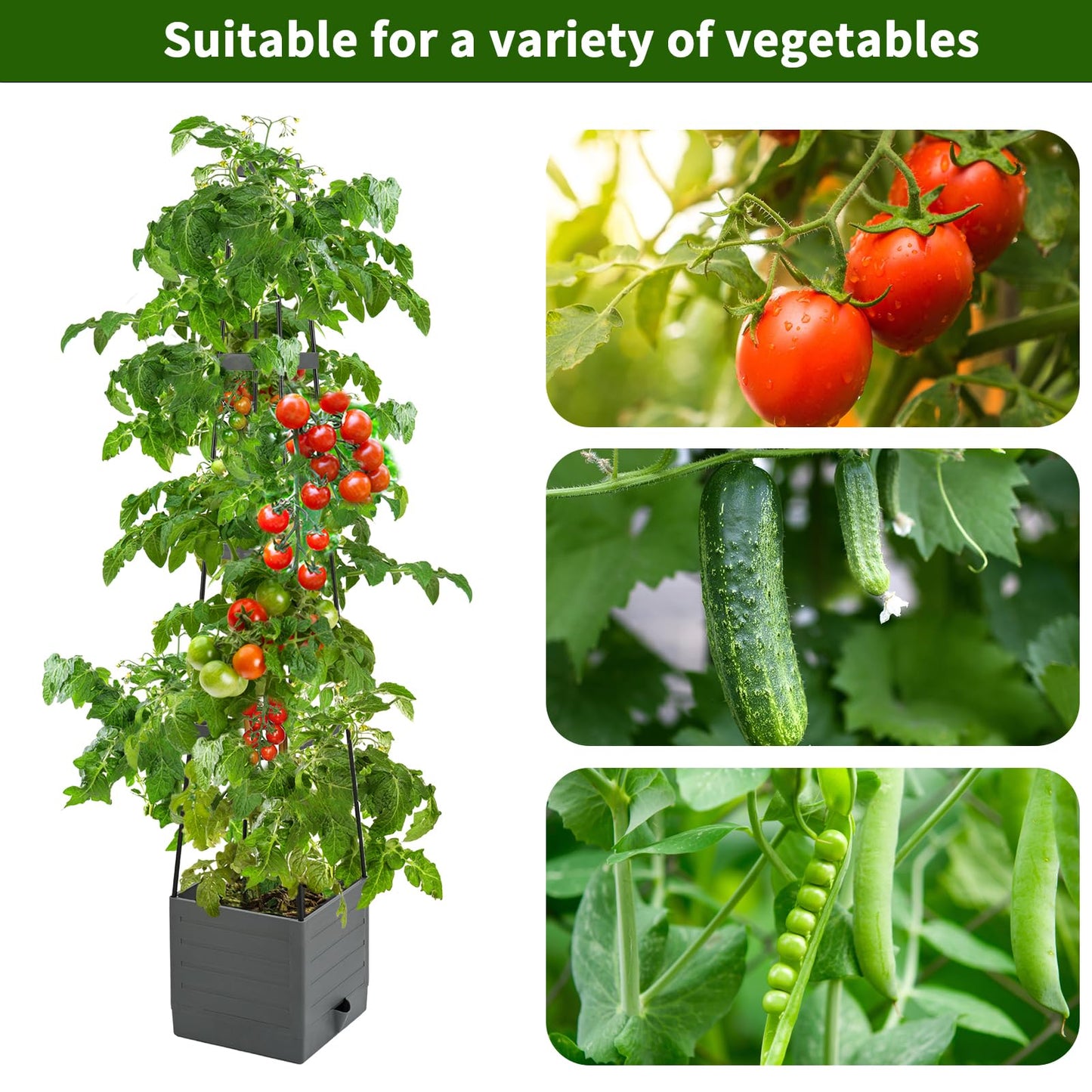 Qaobo 2 Pack Raised Garden Bed, Planter Boxes with Trellis 58.3'' Tomato Planters for Climbing Vine Vegetables Flowers Plants Self Watering Tomatoes Cage for Outdoor Patio Greenhouse