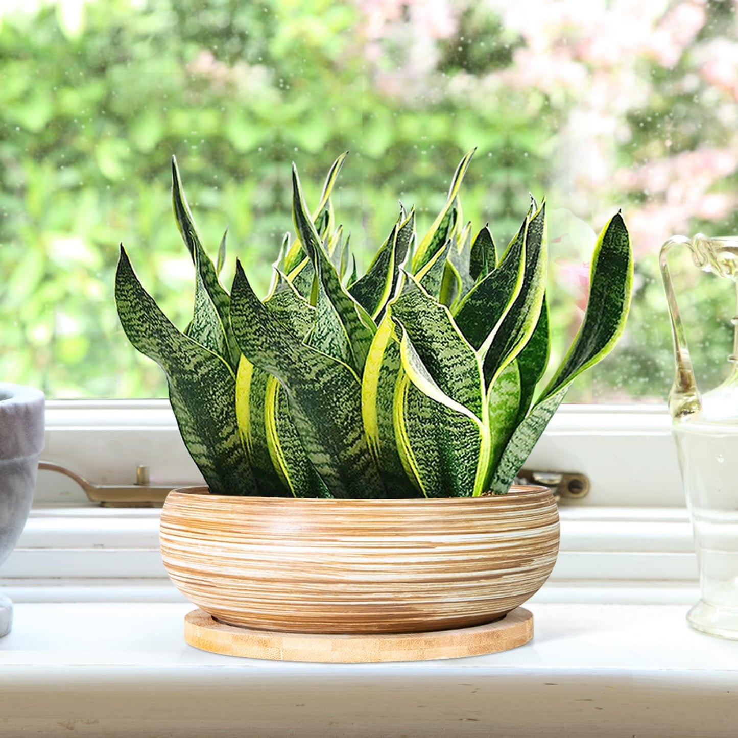 ARTKETTY Succulent Pots - 7.5 Inch Large Plant Pot with Bamboo Tray, Shallow Bonsai Pots with Drainage, Ceramic Planter for Indoor Plants, Cactus, Home Office Desk Decor