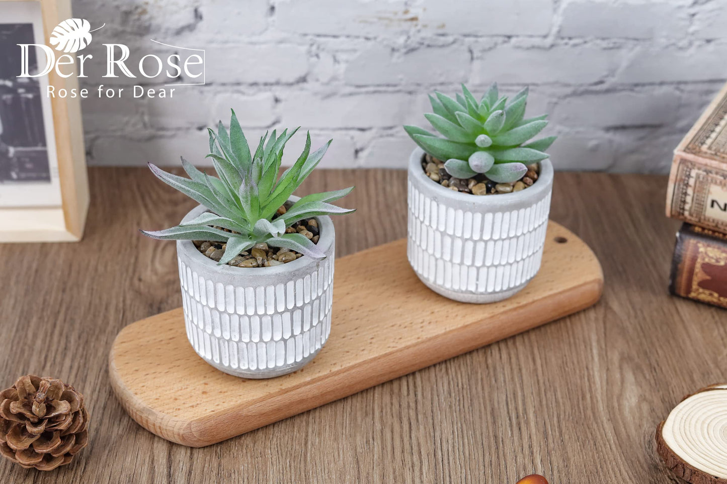 Der Rose Set of 2 Succulents Plants Artificial Fake Cactus Plants for Living Room Bathroom Bedroom Aesthetic Home Shelf Decor
