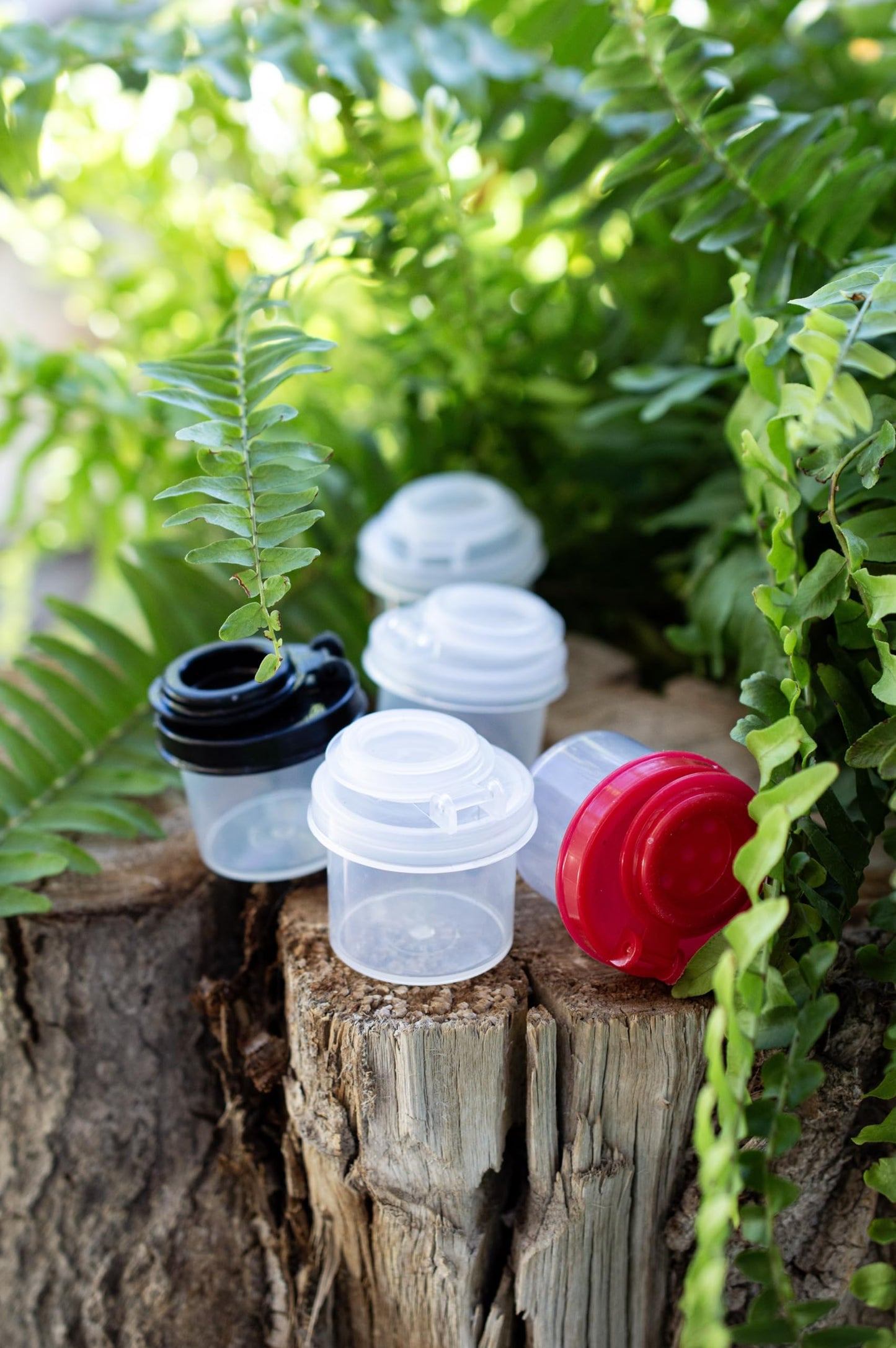 BRAZZA Salt and Pepper Shakers Moisture Proof Set Perfect to go Camping Picnic Outdoors Kitchen Lunch Boxes Travel Spice Set Clear with Black Lids Plastic Airtight Spice Jar Dispenser (5 mini)