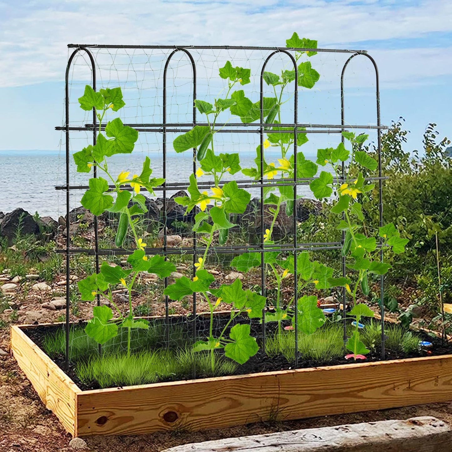 OTOSUNNY Garden Trellis for Climbing Plants Outdoor, 6 FT Tall Arch Tunnel, Metal A-Frame Plant Support with Trellis Netting Vegetable Fruit Flower, Cucumber Trellis for Garden Raised Bed