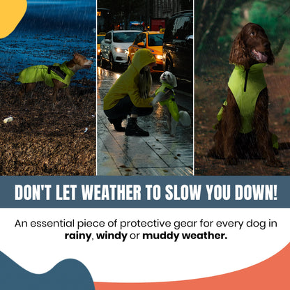 DOGOPAL Dog Raincoat - Waterproof, Lightweight Dog Rain Coat for Small, Medium, and Large Dogs with High Visibility Reflective Straps and Harness Hole (Yellow, M)