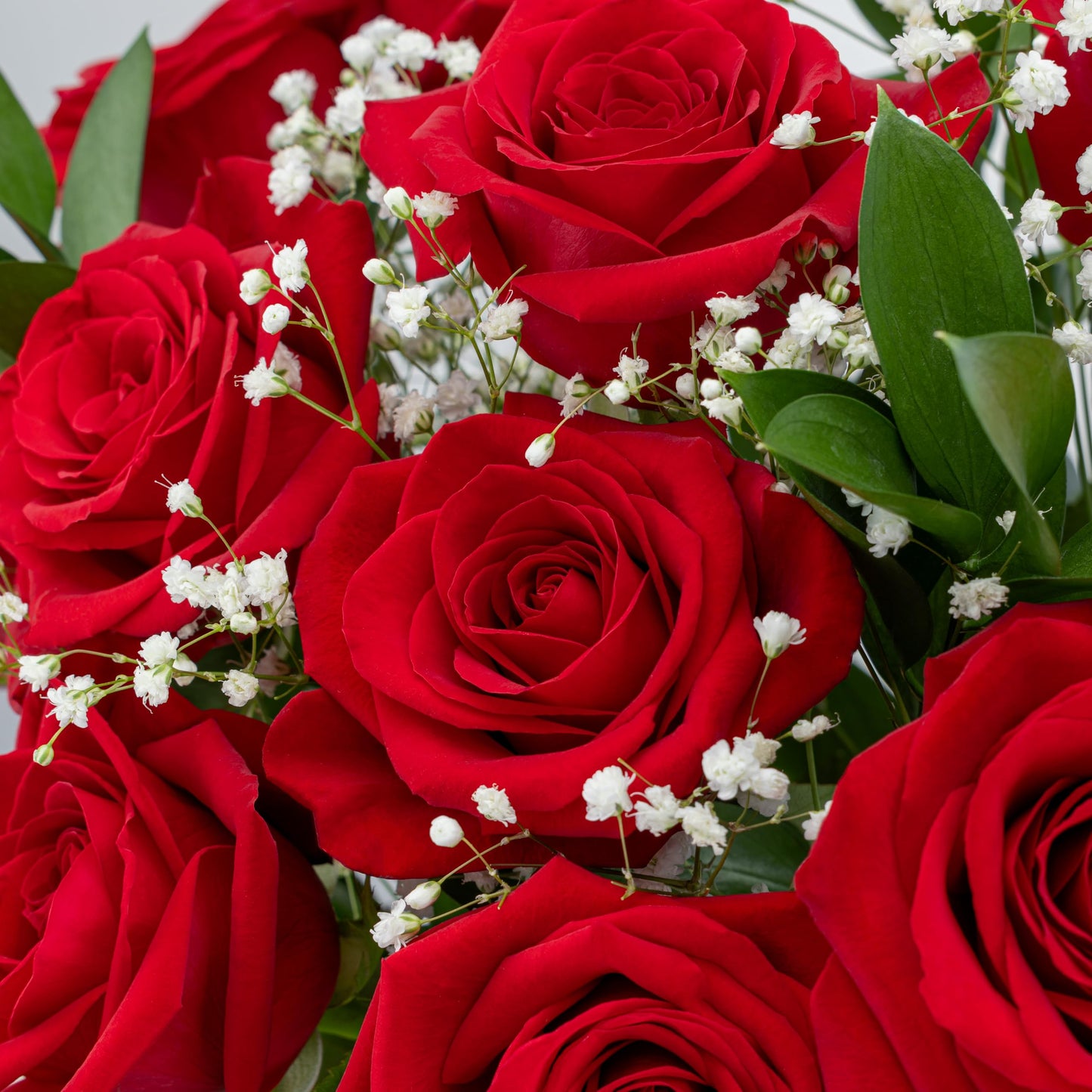 Benchmark Bouquets - 12 Stem Red Roses (Glass Vase Included) - Fresh Flowers for Next Day Delivery - Gift for Birthday, Anniversary, Get Well, Sympathy, Congratulations, Valentine's Day