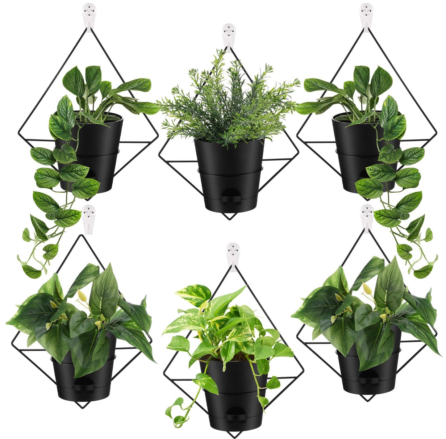 Baderke 6 Sets Wall Planters for Indoor Plants Hanging Wall Planter with Metal Holder Geometric Self Watering Wall Pots Mounted Succulent Pots, 5" Black Plant Container