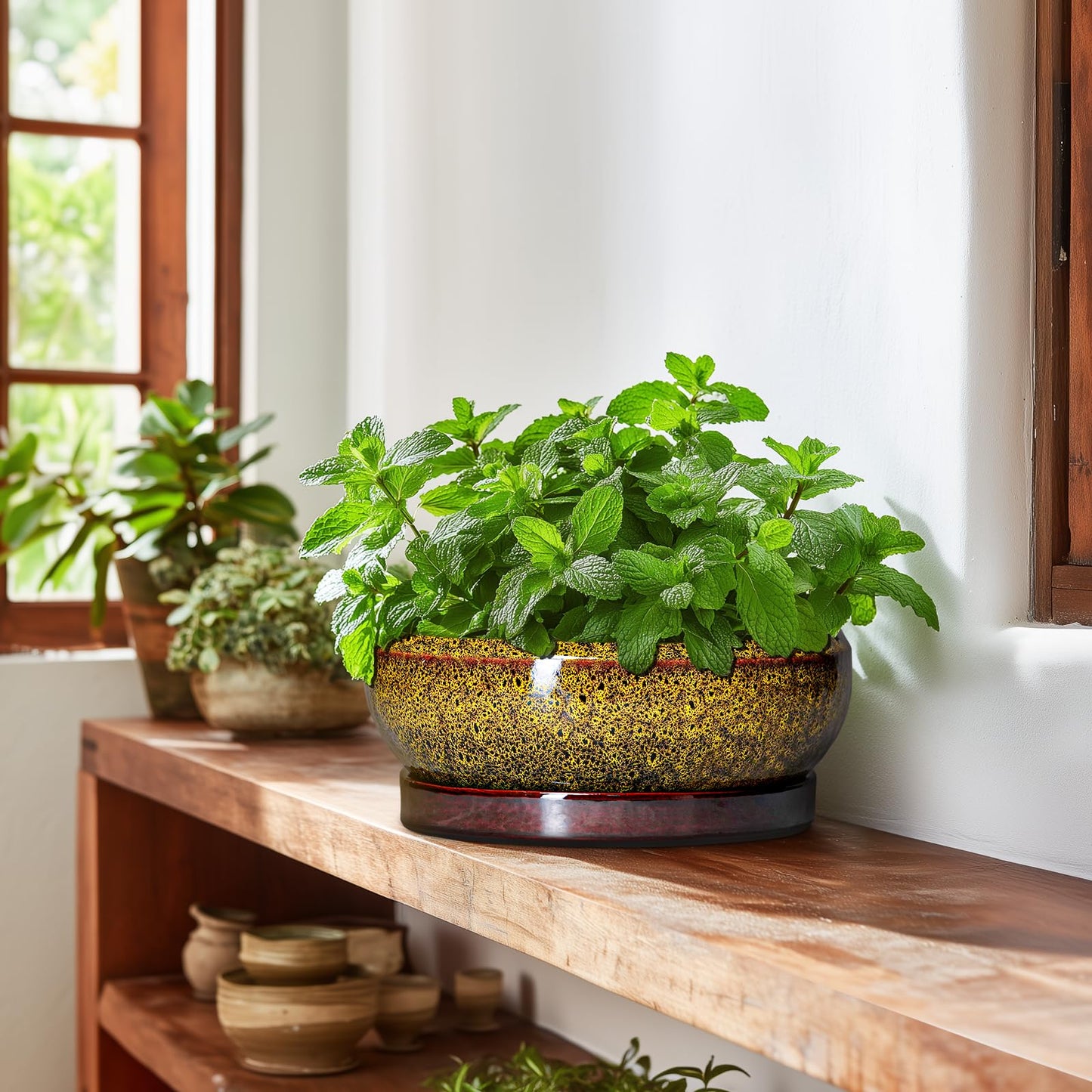 EPFamily Bonsai Pots Ceramic - 10 Inch Succulent Planters Indoor Outdoor, Shallow Planter with Drainage Hole and Saucer, Round Planter Bowl, Succulent Pots, House Decor, Gifts for Plant Lover, Yellow