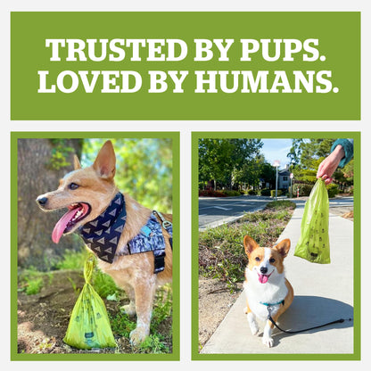 Pogi’s Dog Poo Bags – 750 Bags (50 Rolls) with 2 Dispensers – Biodegradable, Leak-Proof, Extra Strong