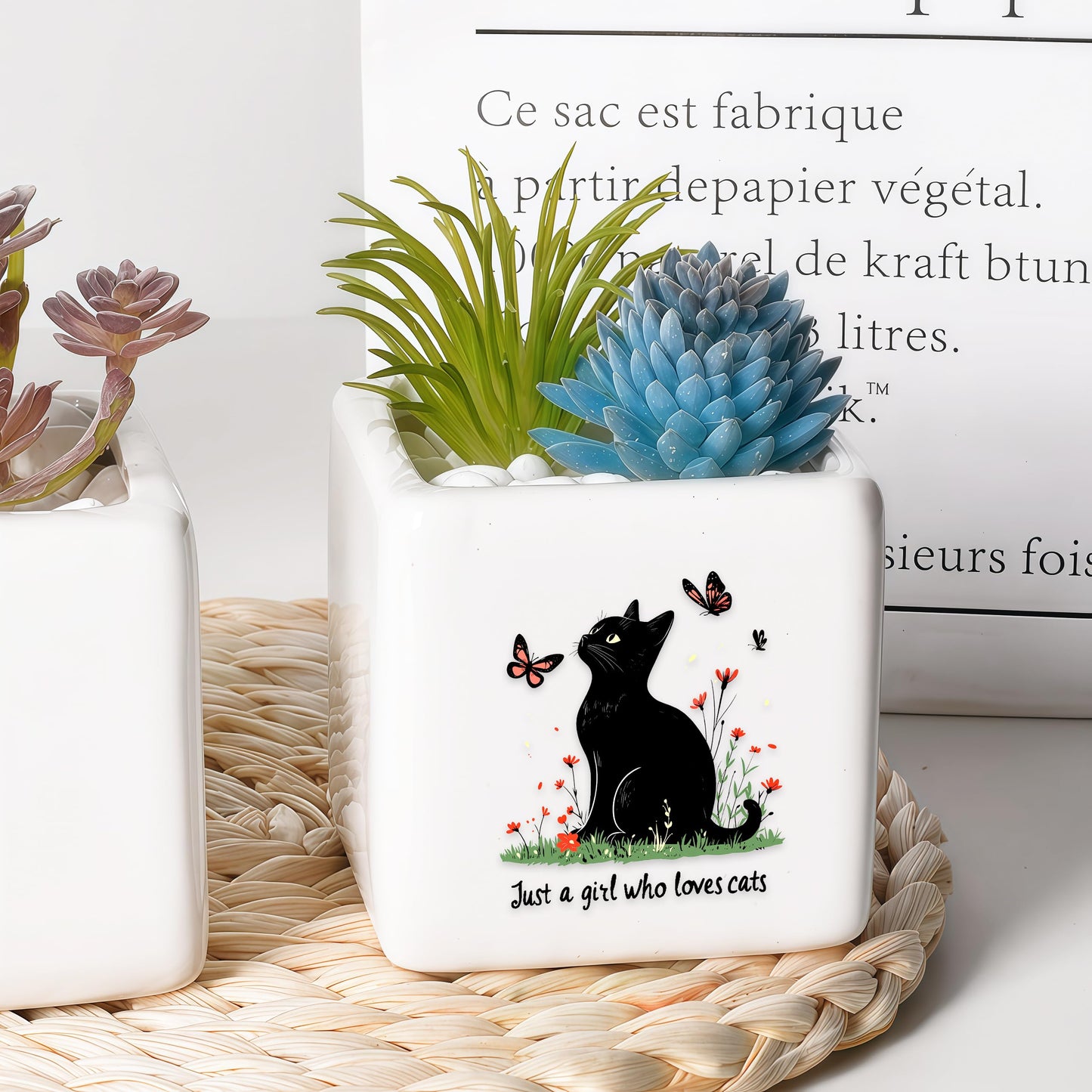 BJDAMAI Black Cat Succulent Planter Flower Plant Pot Small, Gifts for Women Teens Girls Kids, Cat Lovers Themed Stuff Accessories Things Decor Merch, Home Office Table Desk Decoration!