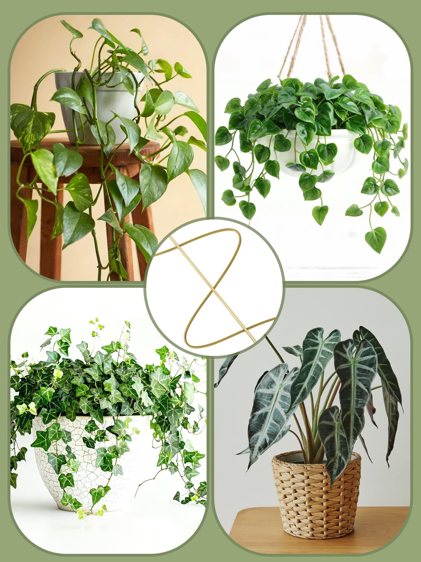 4 Pack Small Wavy Trellis for Potted Plants Indoor, 15 in Garden Trellises for Climbing Plants Outdoor, Single Stick Metal Climber Support Stakes for Vine Ivy Hoya Flower (Golden)