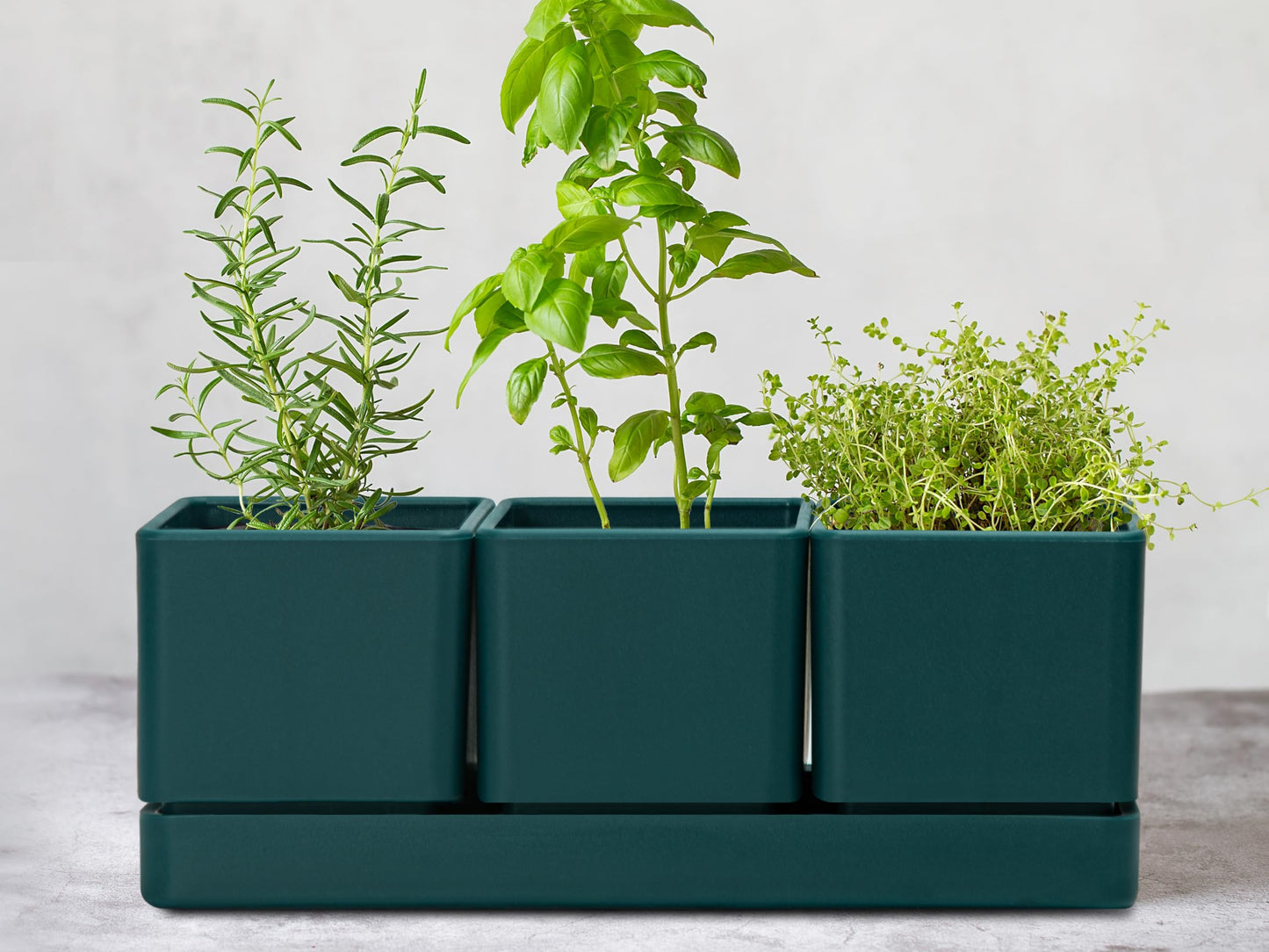 D'vine Dev Herb Garden Planter Set, Plastic Plant Pots with Drainage and Saucer, Indoor Succulent Cactus Vegetable Pot for Windowsill, Garden Balcony, Green, Set of 1, 76-V-C-1