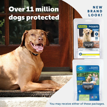 PetSafe Rechargeable In-Ground Pet Fence Receiver Collar for Cats and Dogs, Waterproof with Tone and Static Correction, Fits Pets 5 lbs and Up from The Parent Company of The Invisible Fence Brand