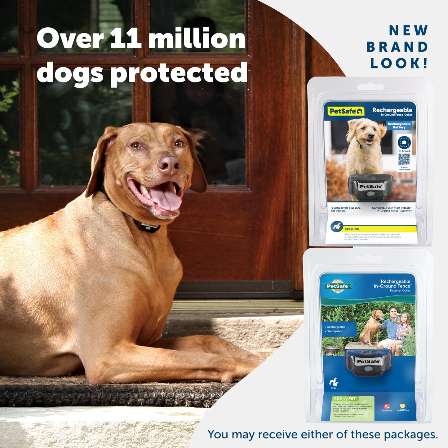 PetSafe Rechargeable In-Ground Pet Fence Receiver Collar for Cats and Dogs, Waterproof with Tone and Static Correction, Fits Pets 5 lbs and Up from The Parent Company of The Invisible Fence Brand