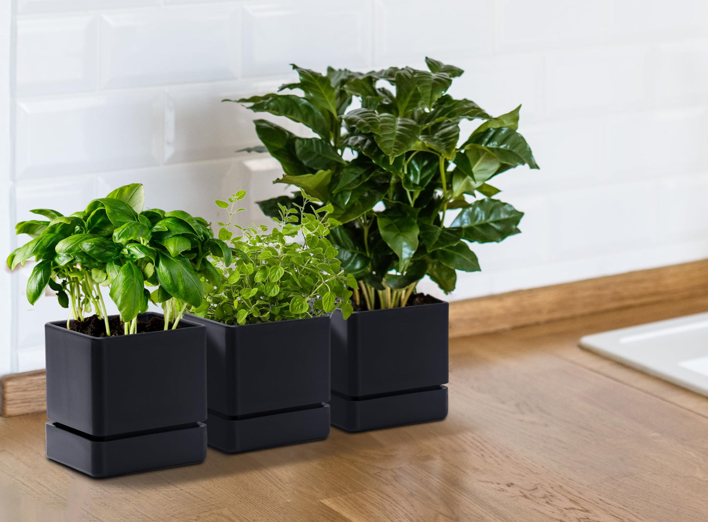 D'vine Dev 4 Inch Herb Planter Pot, Plastic Planter with Drainage Holes and Saucer, Modern Decorative Gardening Pot for Indoor Plants, Flowers, Herbs, Succulents, Black, Set of 3, 76-Y-B3-1