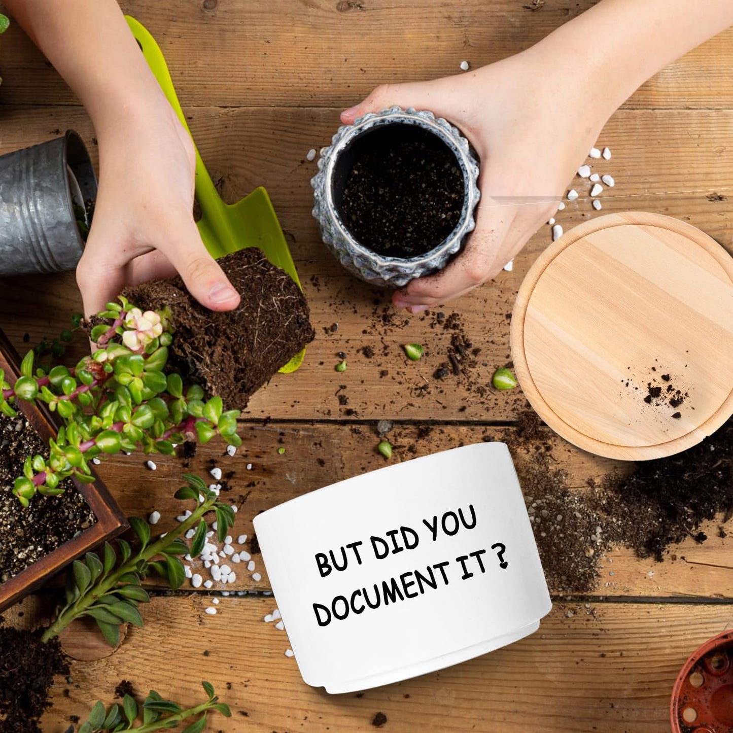 Office Desk Shelf Decor, Succulent Plant Pot, Ceramic Flower Cactus Planter Office Accessories Gifts for Coworker Employee Colleague Women Men Friend, But Did You Document It (Plants Not Included)