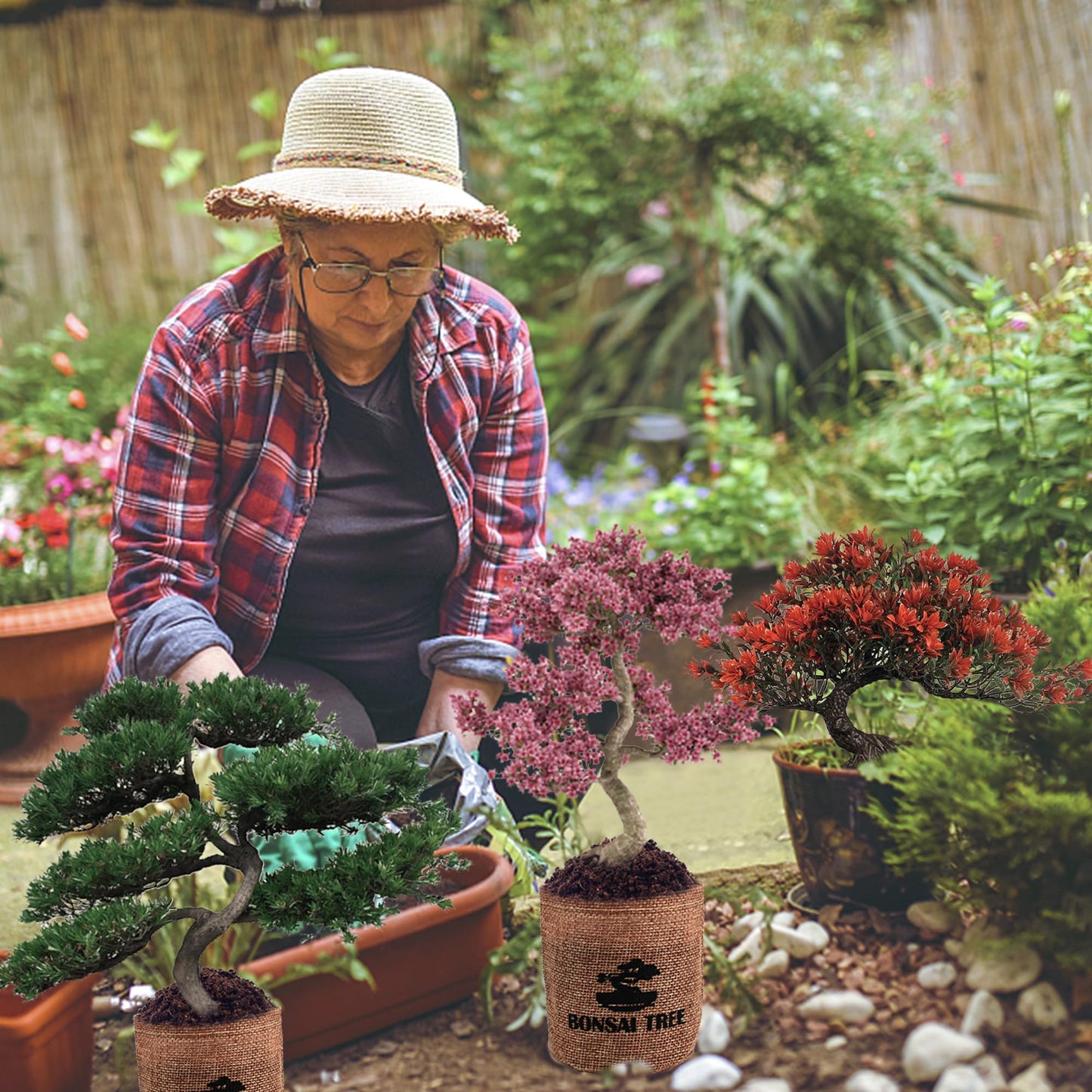 Sproutix Bonsai Garden Starter Kit, 4 Seeds Growing into Sakura, Ginkgo, Black Pine, Red Flame, Including Complete Gardening Tools & A Planter Box with Cover for Men Women Beginners