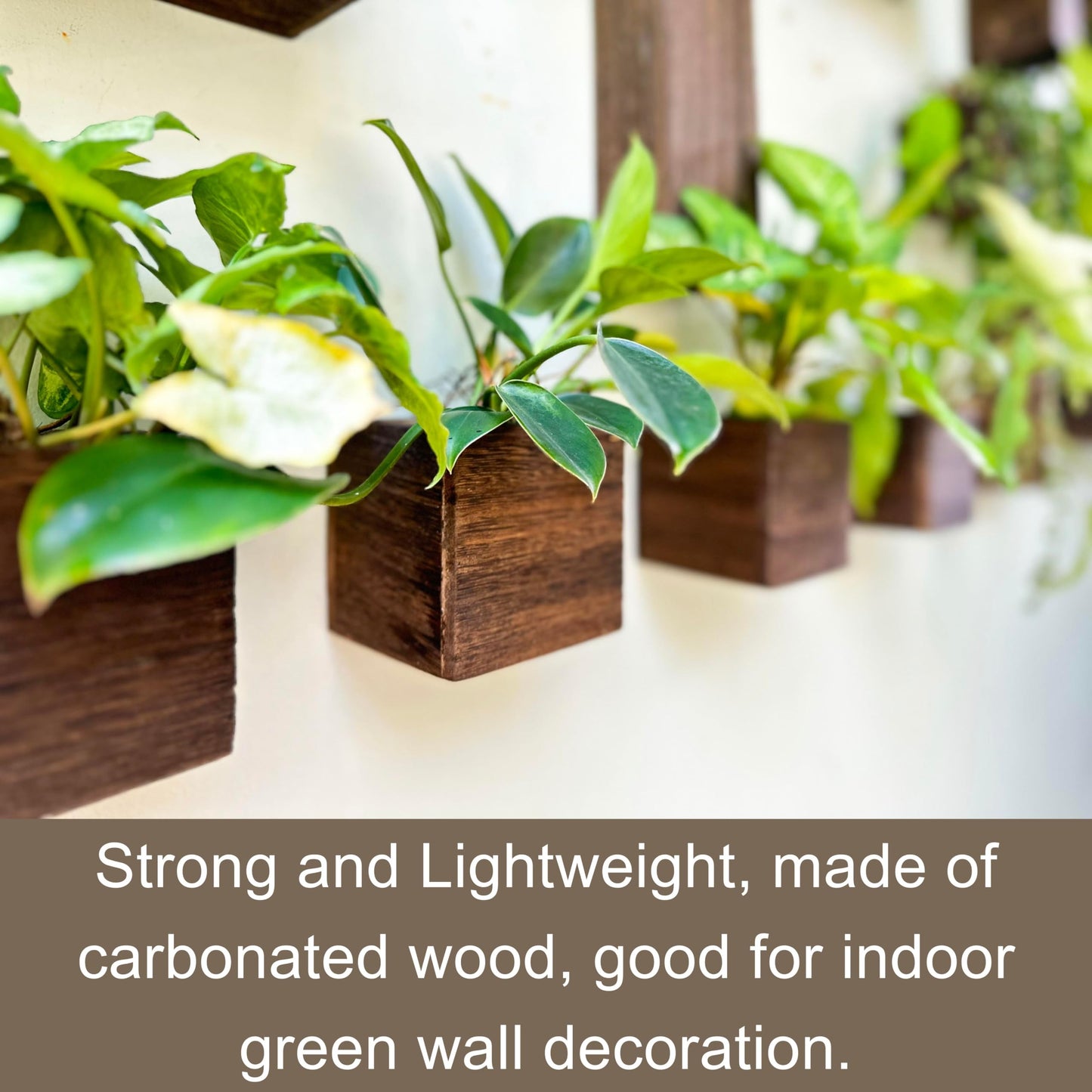 LaLaGreen Wood Planter Boxes for Plants (4x4 Inch, 8 Pack) Small Square Wall Mounted Planters for Indoor Plant, Herb Wooden Box Hanging Flower Pot Plant Holder Outdoor Fence Vertical Garden Home Decor