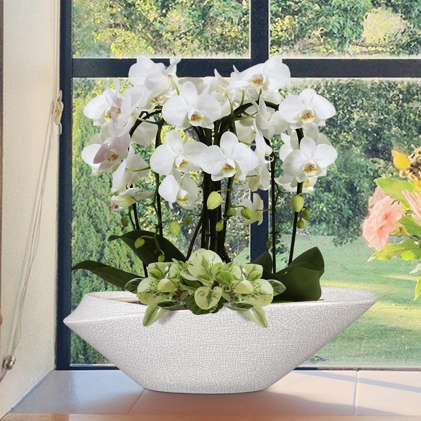EPFamily Bonsai Pots - 18 Inch Ceramic Plant Pot for Bonsai Tree, Modern Indoor & Outdoor Succulent Planter with Drainage, Room Decor, Gifts for Plant Lovers, White-Black