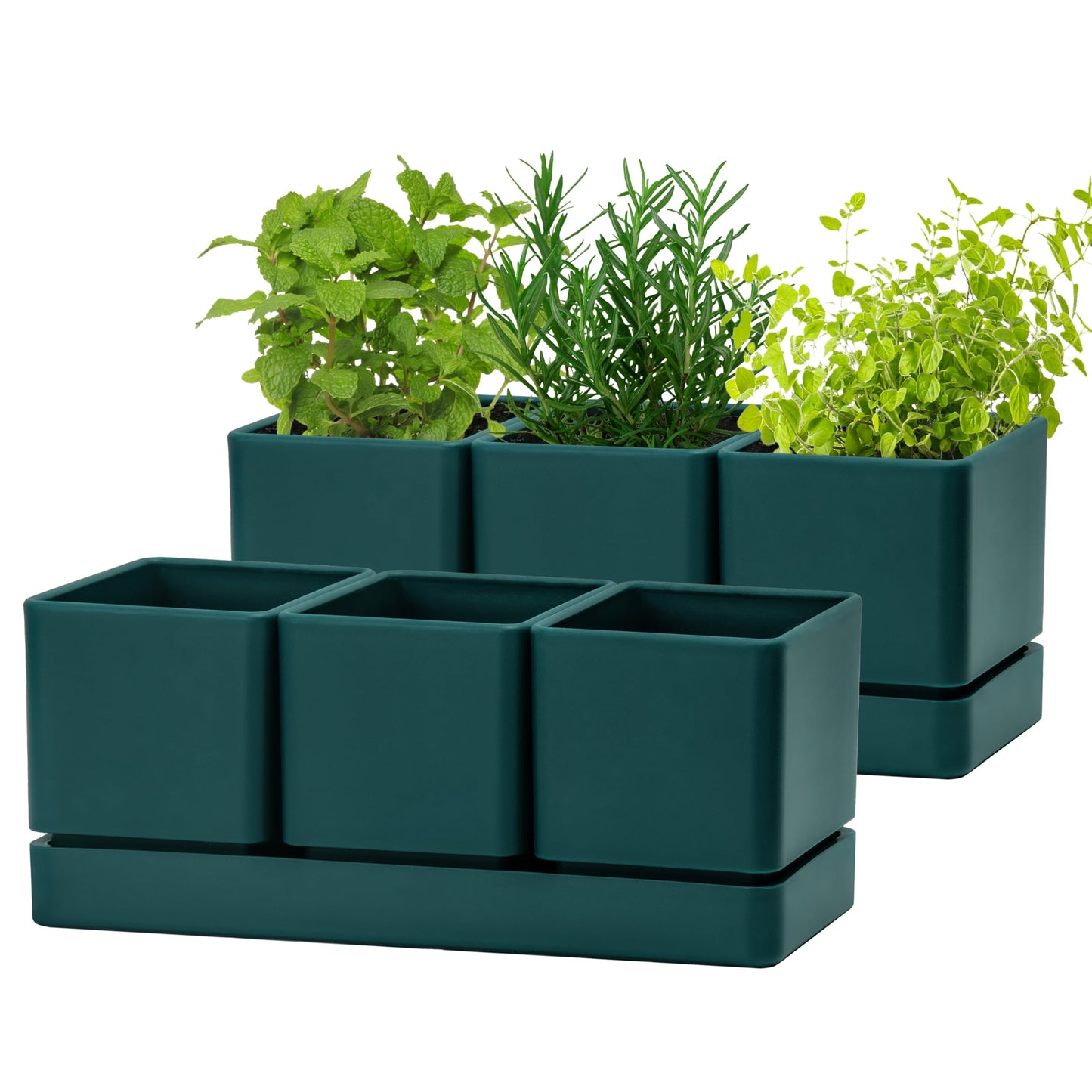 D'vine Dev Herb Garden Planter Set, Plastic Plant Pots with Drainage and Saucer, Indoor Succulent Cactus Vegetable Pot for Windowsill, Garden Balcony, Green, Set of 2, 76-V-C-2
