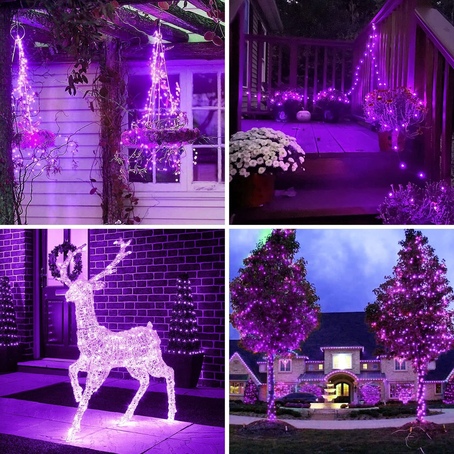 JMEXSUSS 4 Pack Purple Solar String Lights Outdoor Waterproof, 100 LED 33ft Purple Solar Fairy Lights, 8 Modes Copper Wire Christmas Light for Halloween Christmas Garden Yard Tree Decor