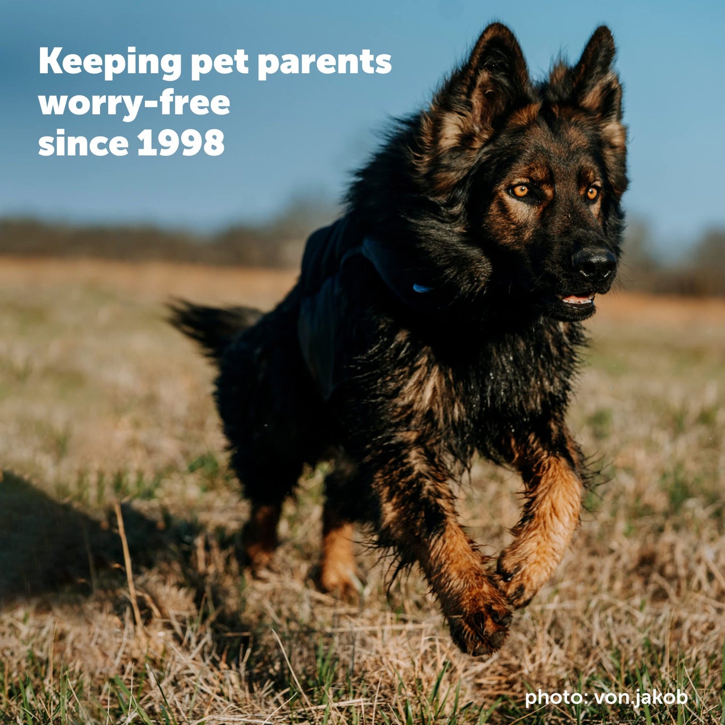 PetSafe YardMax Dog Fence Collar, Electric Dog Containment Waterproof Collar, Fits Dogs 5 lb & Up, Adjusts to Fit Neck Sizes 6-28 in, (Black) - from The Parent Company of Invisible Fence Brand