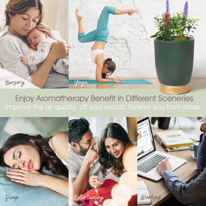 Earnest Living Essential Oil Diffuser White Ceramic Diffuser 100 ml Timers Night Lights and Auto Off Function Home Office Humidifier Aromatherapy Diffusers for Essential Oils