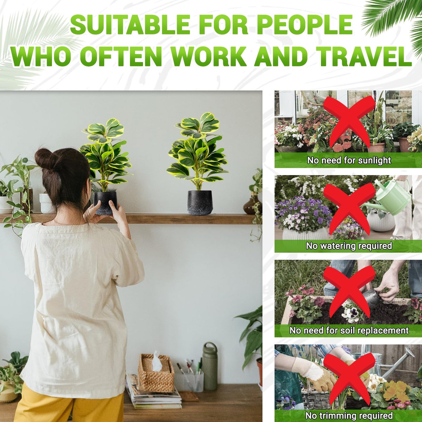 WOHSEROM 2 Pack Realistic Artificial Potted Plants Peperomia Obtusifolia, 11" Small Faux Greenery for Desk, Bathroom, Office, or Home Decor (Evergreen, Maintenance Free)